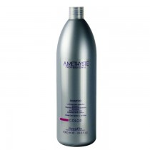 Shampoo for colored hair 1L